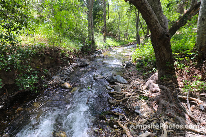 Davy Brown Campground Creek View