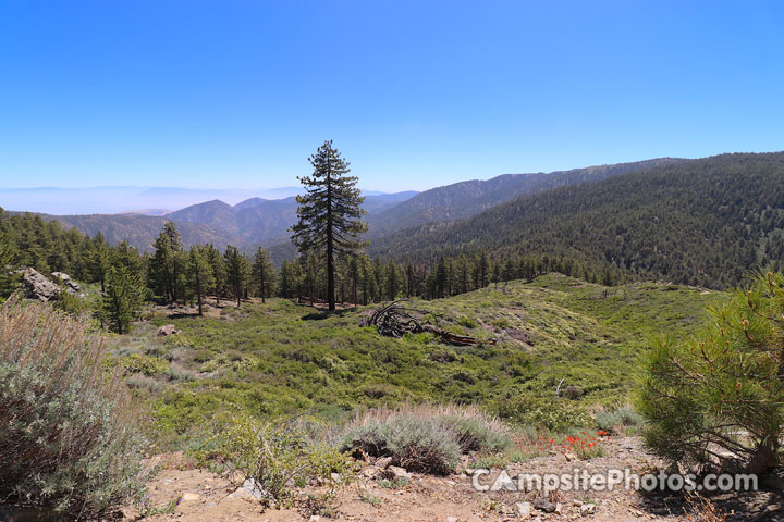 Campo Alto Campground Scenery