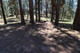 Pine Mountain Campground 001