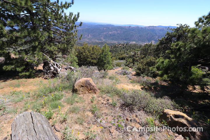 Reyes Peak Campground Scenic