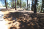 Reyes Peak Campground 004