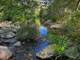 Rose Valley Campground Creek Scenic