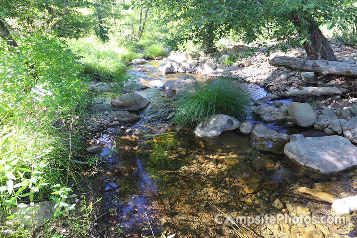 Middle Lion Campground Lion Canyon Creek View