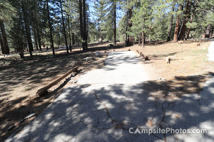 Mt. Pinos Campground 004