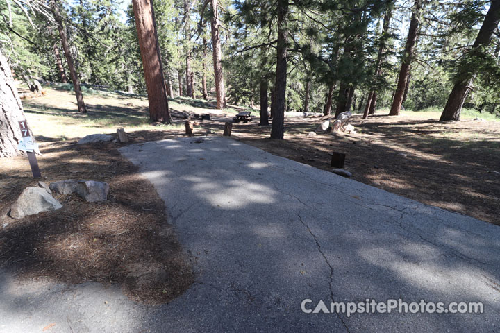 Mt. Pinos Campground 017