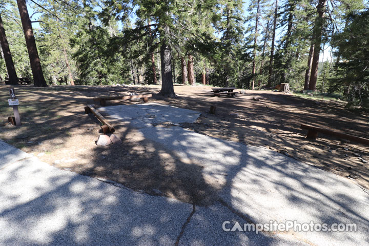 Mt. Pinos Campground 018