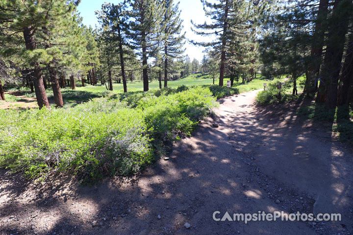 Mt. Pinos Campground Nordic Base Trail