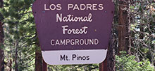 Mt. Pinos