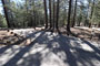 Mt. Pinos Campground 001