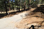 Mt. Pinos Campground 002