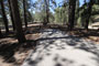 Mt. Pinos Campground 003