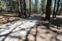 Mt. Pinos Campground 005