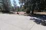 Mt. Pinos Campground 014