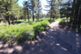 Mt. Pinos Campground Nordic Base Trail