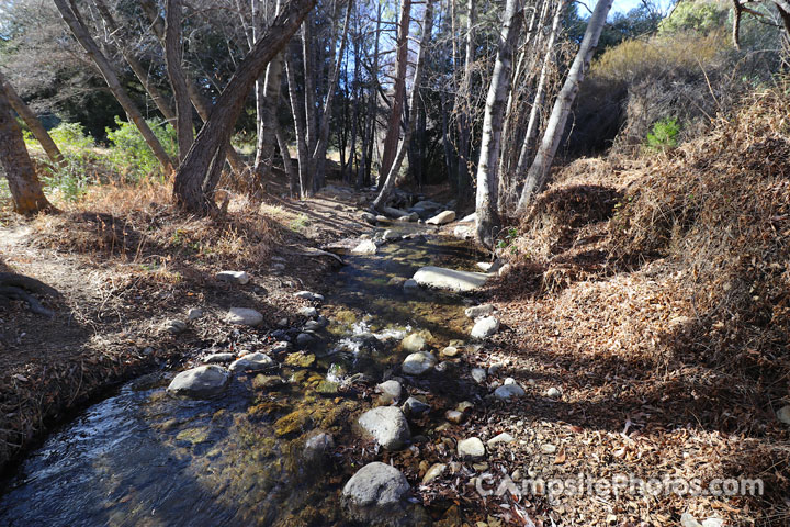 Reyes Creek Campground Creek View