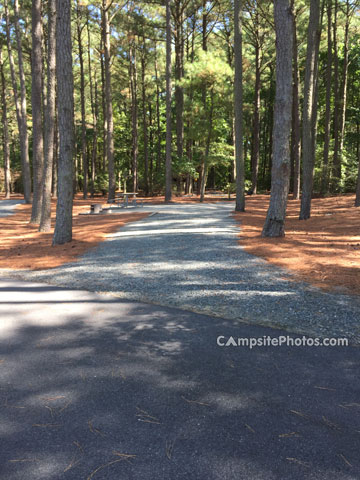 Janes Island State Park 077