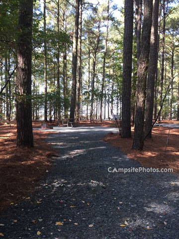 Janes Island State Park 090