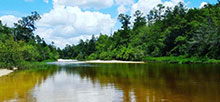 Karick Lake South Blackwater River State Forest