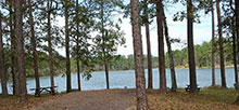 Karick Lake South Blackwater River State Forest