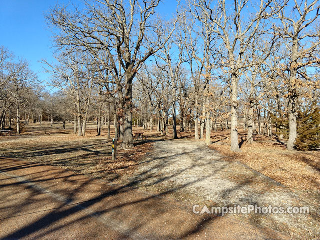 Cross Timbers State Park Sandstone 025