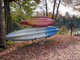 Mollidgewock State Park Kayak Rentals