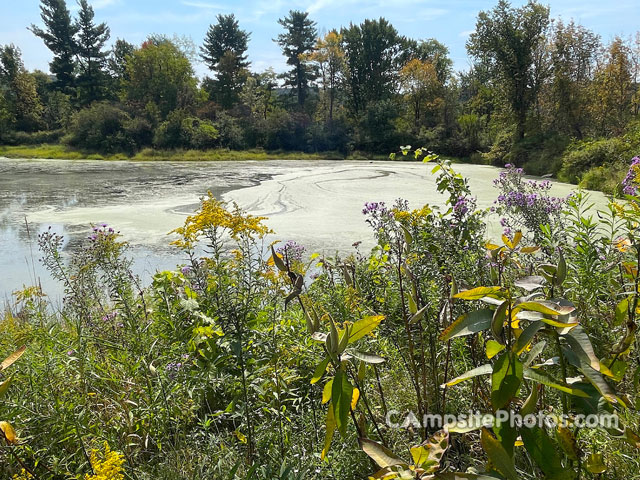 Glimmerglass State Park Beaver Pond