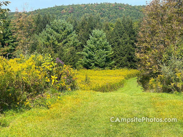 Glimmerglass State Park Meadow Trail