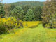 Glimmerglass State Park Meadow Trail