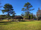 Jones Lake State Park Picnic Area