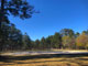 Jones Lake State Park Volleyball