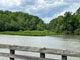 Lake Norman State Park Scenic