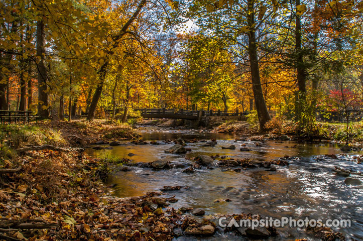 Caledonia State Park View