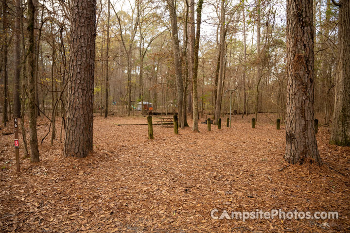 Caddo Lake State Park 046