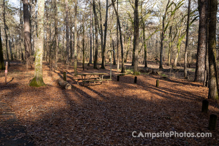 Caddo Lake State Park 061