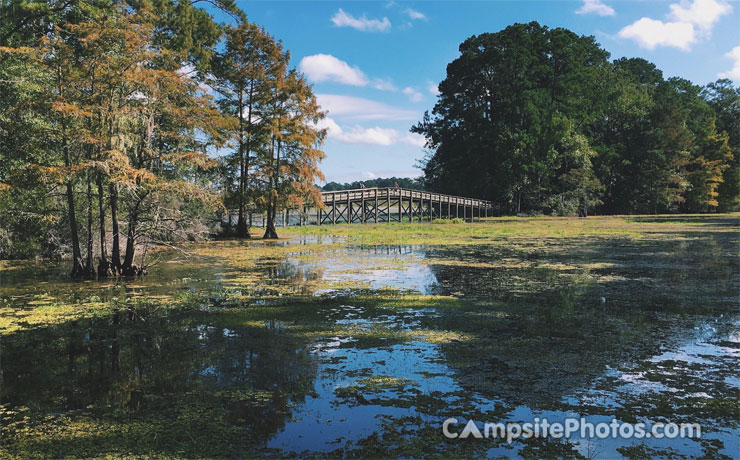 Martin Dies Jr. State Park Scenic