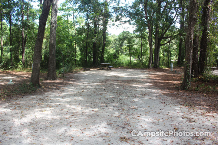 James Island County Park 108