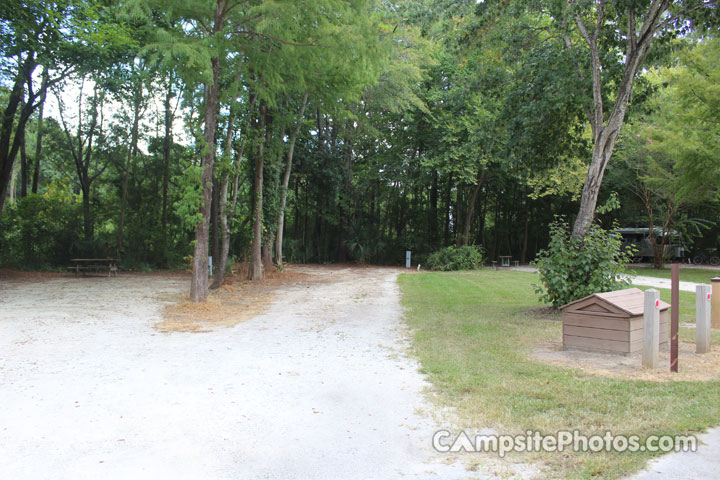 James Island County Park 124