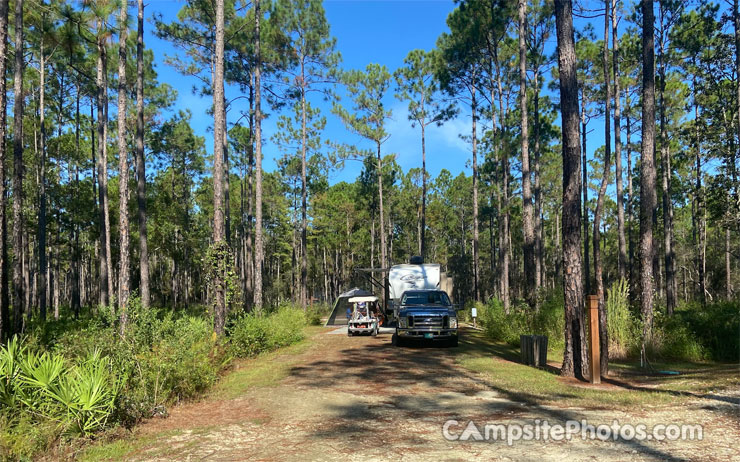 Cary State Forest 003