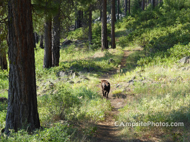 Blue Lake Trail