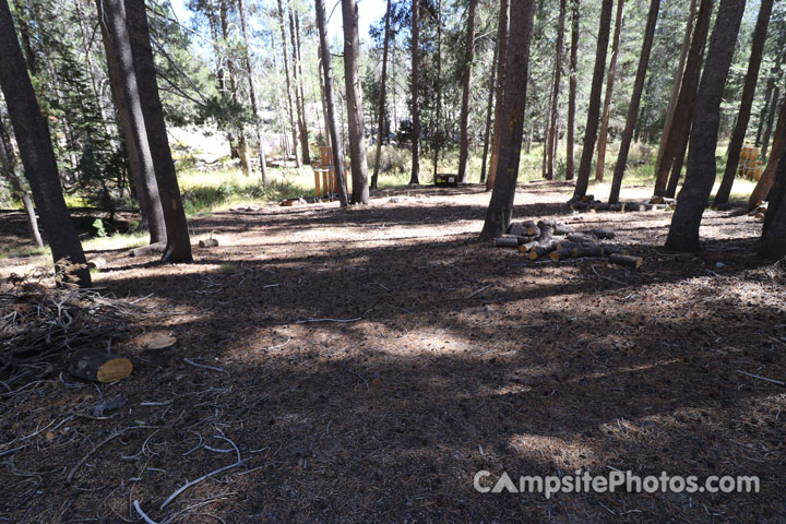 Yosemite Creek Campground 015