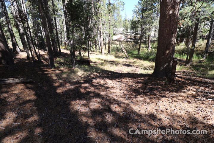 Yosemite Creek Campground 016