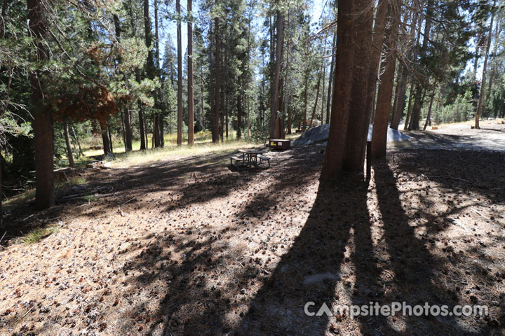 Yosemite Creek Campground 017