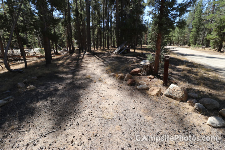 Yosemite Creek Campground 056