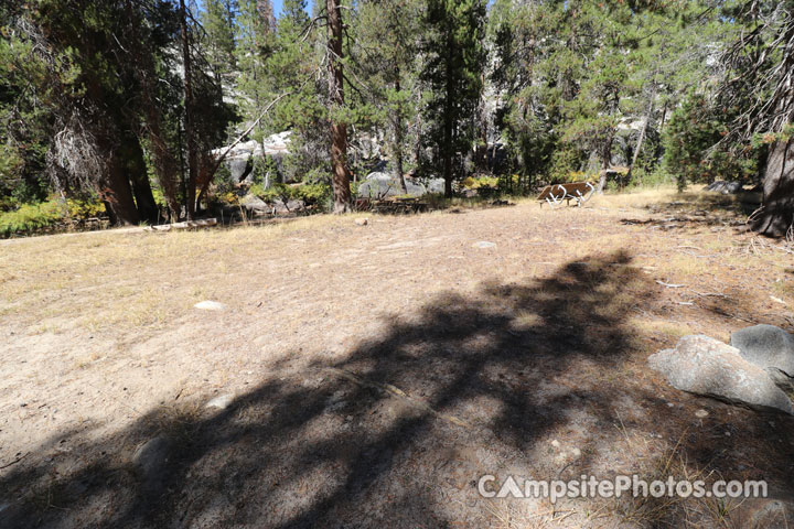 Yosemite Creek Campground 061