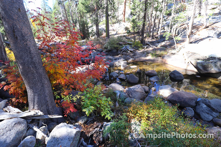 Yosemite Creek Campground Scenic