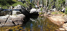 Yosemite Creek