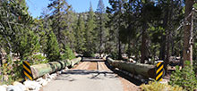 Yosemite Creek