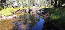 Yosemite Creek