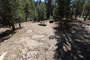 Yosemite Creek Campground 045