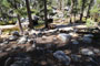 Yosemite Creek Campground 051